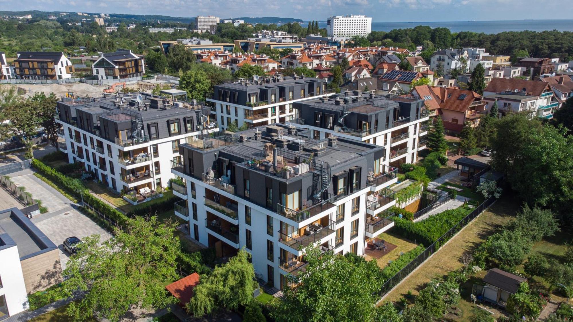 Wild Island Apartament